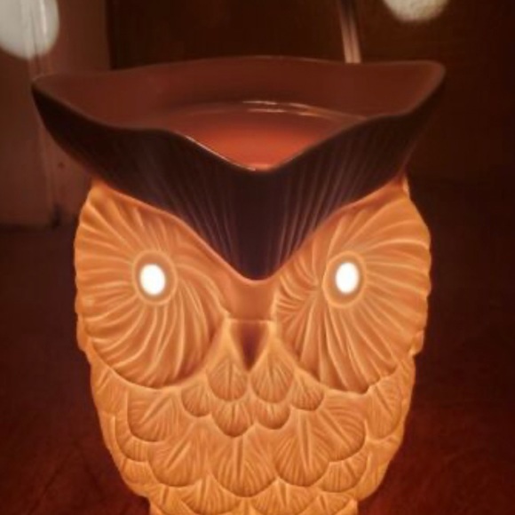 Scentsy Accents Scentsy Warmer Whoot The Owl Poshmark